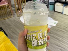 -茉酸奶(春熙路店)
