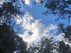 -帽儿山国家森林公园