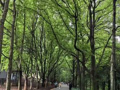 -昆明植物园