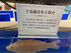 -千岛湖鱼味馆(十字街总店)