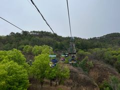 -磬锤峰森林公园