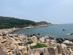-广东惠东海龟国家级自然保护区
