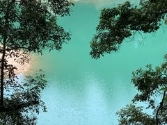 -广州市流溪河国家森林公园