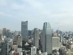 -东京塔海贼王主题公园
