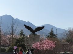 -北京鹫峰国家森林公园