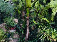 -国家植物园南园