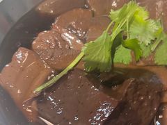 -日日香卤鹅饭店·澄海狮头鹅(澄海店)