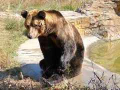 -杭州野生动物世界