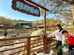 -盈香心动乐园