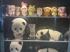 -榛悦隆堡成都酒店(春熙路太古里店)