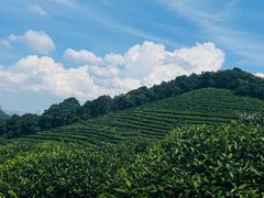 -西湖风景区十里琅珰-五云山
