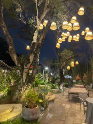 -珍宝明珠园林食府·宴会厅