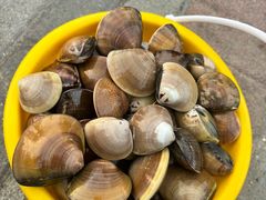 -梅姐海鲜餐厅(水头海鲜街店)