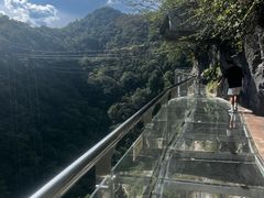 -千岛湖石林