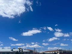 -张金涛熏鸡(人民南路店)