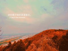 -北京西山国家森林公园