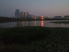 -洛龙公园