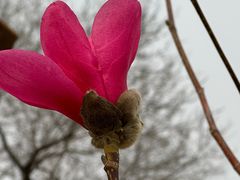 -鹫峰国家森林公园