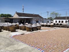 -苏州市吴中区光福窑上花果蜜饯厂