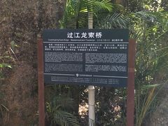 -三亚亚龙湾人间天堂鸟巢度假村
