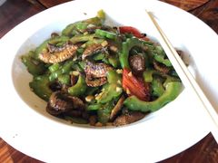 -顺德了能馆(虎门店)