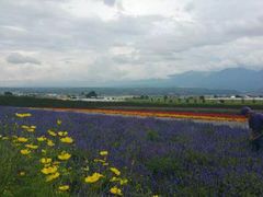 -富田农场