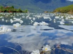 -泸沽湖国家级风景名胜区走婚桥