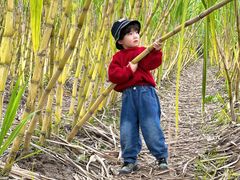 -汉长安城未央宫国家考古遗址公园