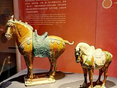 -陕西历史博物馆