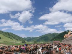 -关山草原