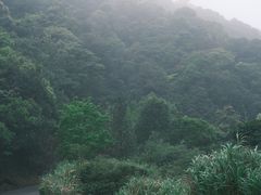-广州市石门国家森林公园