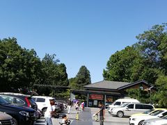 -紫竹院公园-东门停车场