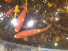 -香约老地方烧烤(九道街店)