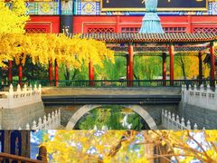 -沉浸北京·团建旅行·密室剧本杀·年会会议轰趴拓展
