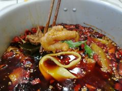 -晓彭肥肠鸡·泡椒鸡火锅(水木天地店)
