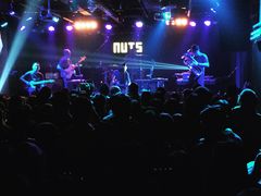 -坚果NUTS