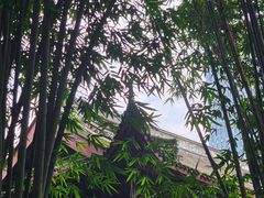 -望江楼公园