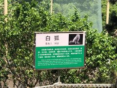 -西霞口神雕山野生动物世界