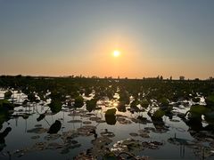 -白洋淀景区