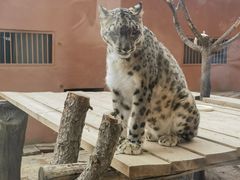 -青藏高原野生动物园