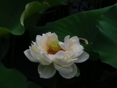 -黄兴公园
