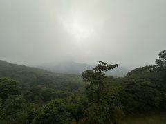 -黄埔油麻山森林公园