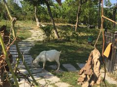 -上海滴水湖皇冠假日酒店