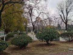 -天鹅湖体育公园