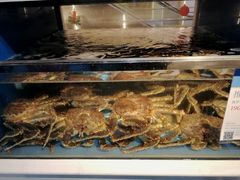 -盒马渔市(平高企业集团·平高广场店)