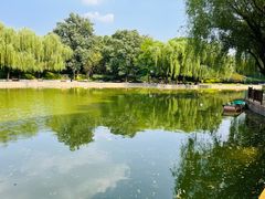 -团结湖公园