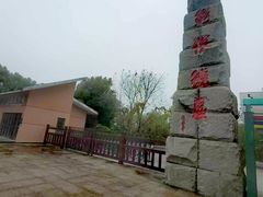 -中国扬子鳄村