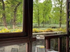 -野蔓果·山野菜(西湖景区·龙井茶田店)