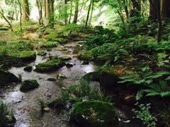 -成田山新胜寺
