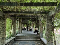 -龙寺生态园